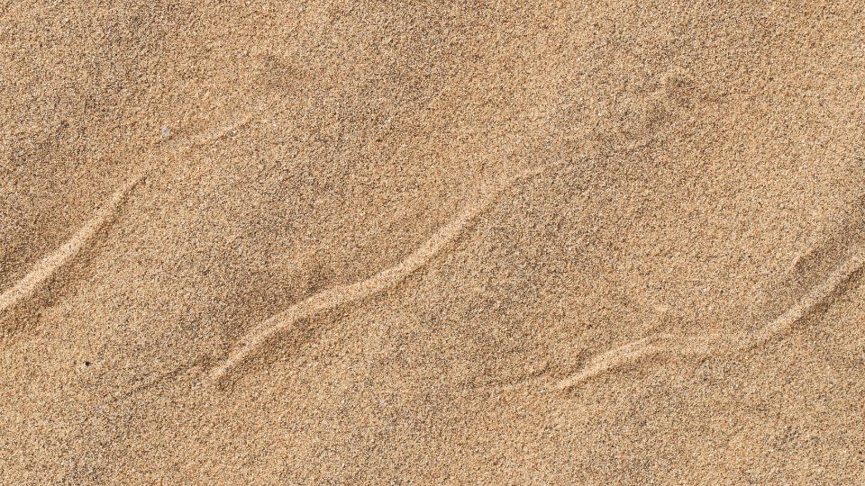 Side Pushing Snake Tracks in sand