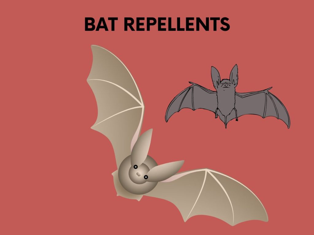 bat repellents