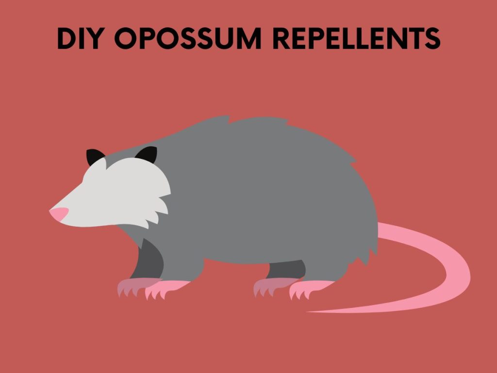 diy opossum repellents