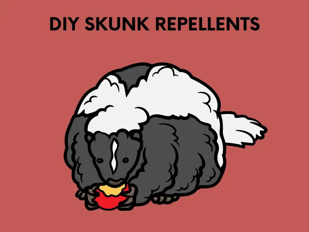 diy skunk repellants