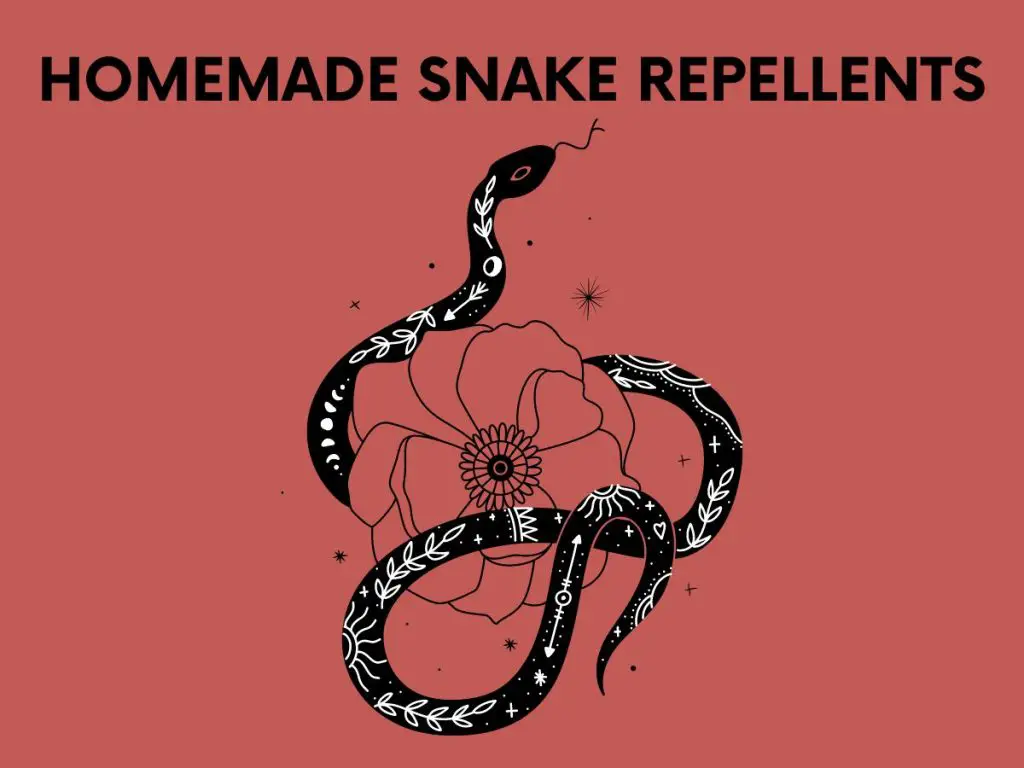 homemade snake repellants